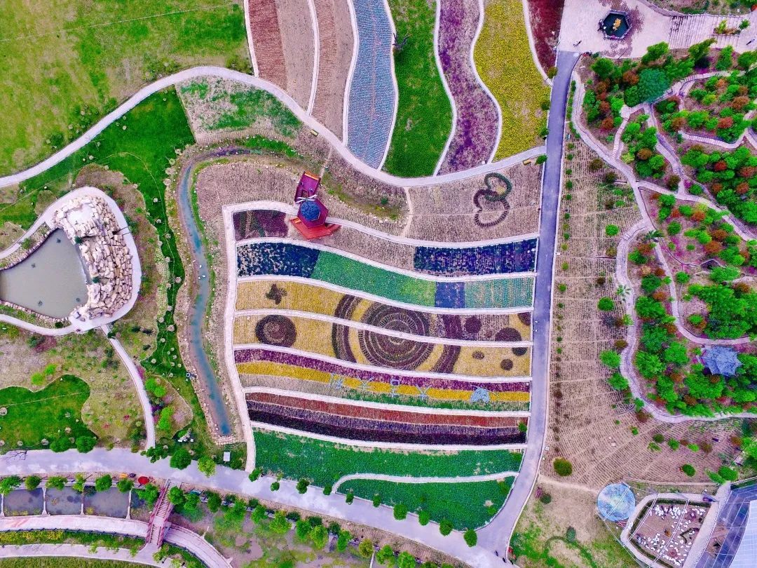 桐乡|假期去哪玩?桐乡这条旅游线路向全国推介!