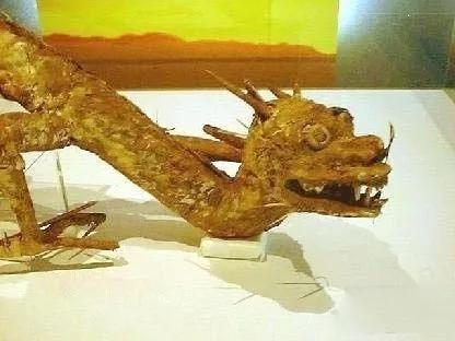现存唯一真龙标本,是真是假