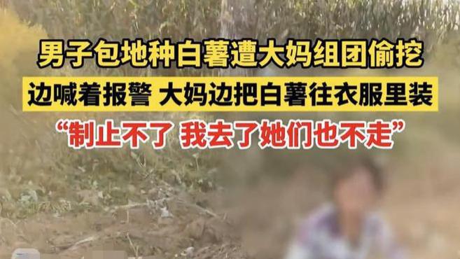 年龄大就能为所欲为？男子承包两百亩地，屡遭老人偷盗