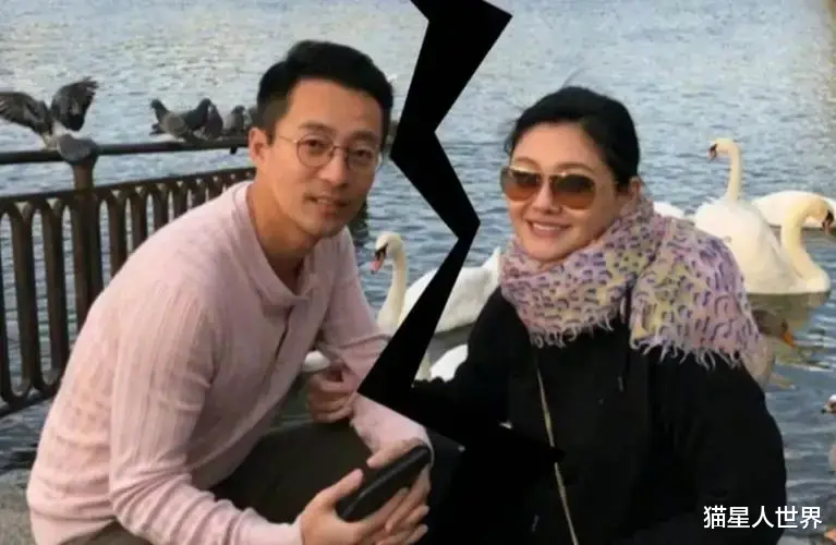 大S|大S这下真的是树倒猢狲散