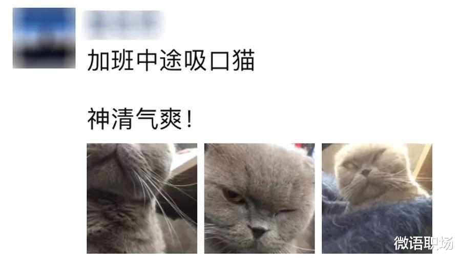 |“身体在上班,灵魂在放假”:职场人的假期综合征如何缓解?