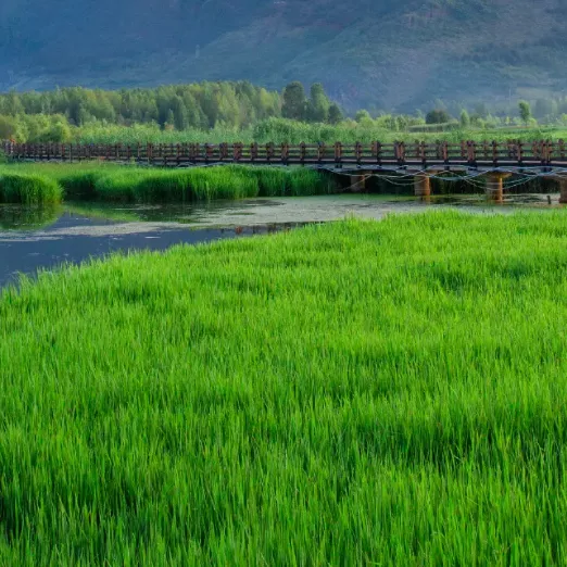 重庆|【春节特辑】春节最佳旅游线路出炉，赶快和家人们去打卡吧！