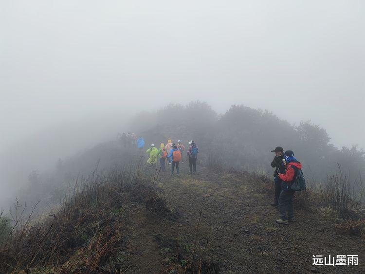 |徒步寻甸凤龙山、赏高山杜鹃马缨花，遇见雨后落红满地、如诗如画