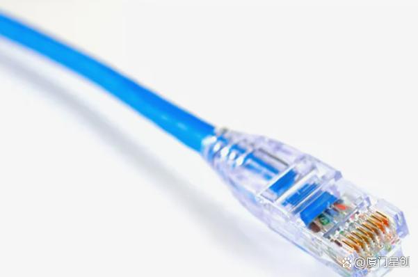 局域网|网络基础知识简明指南