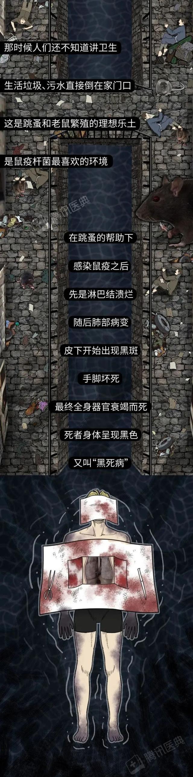 假如全球新冠疫情一直不结束,我们该怎么办?看完全文陷入深思