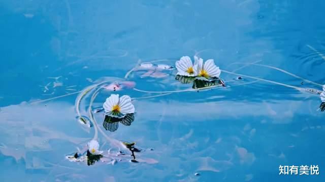 旅游业|太美了！6月最佳旅行目的地清单，这10个地方的夏天美如仙境！