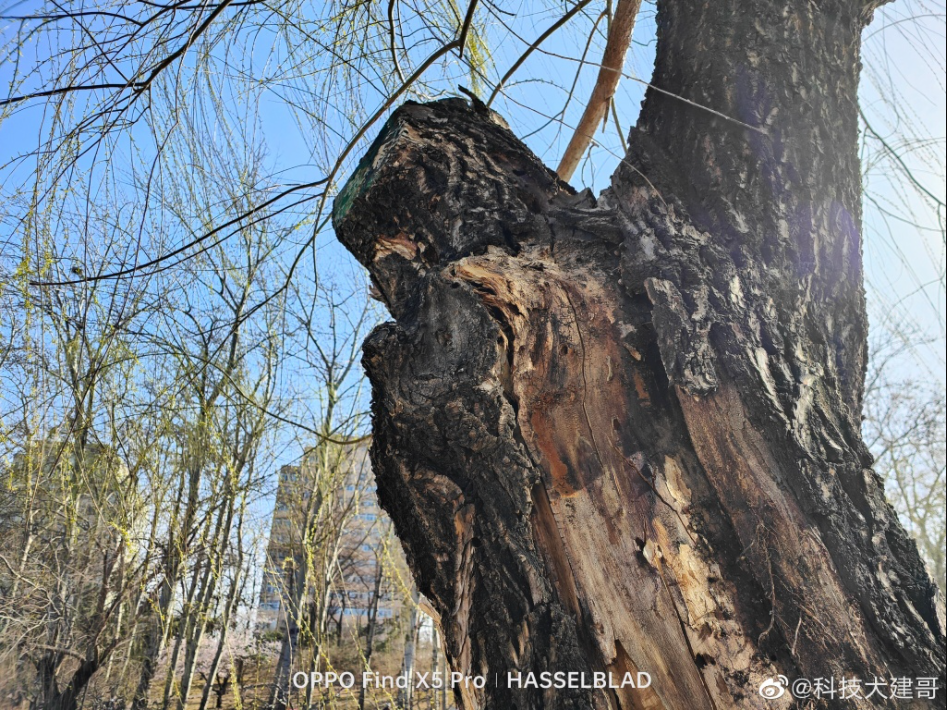 find x|贵的不一定最好！三星苹果OPPO拍照对比，你喜欢哪一款