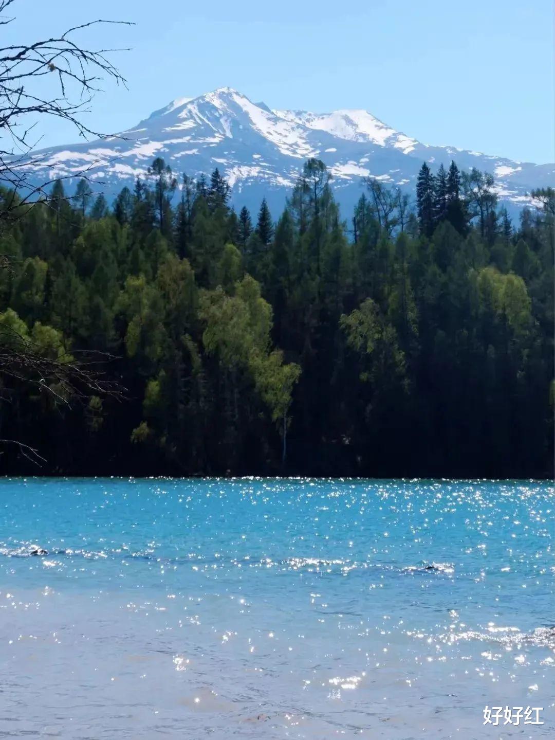 草原|私藏“中国最美公路”，一年仅开放5个月！这里的夏日，一次看遍草原雪山湖泊！