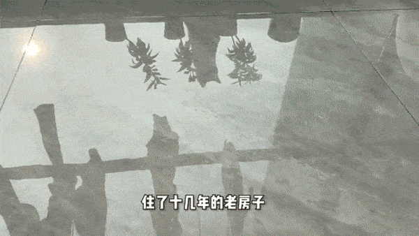 屋子里全是“灰尘、毛絮”？保姆支了个招，毛絮全消失，真好用！