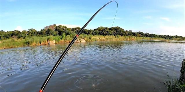 死水|夏季钓鱼,何时钓深,何时钓浅?要想钓得多,牢记这“5大选择”