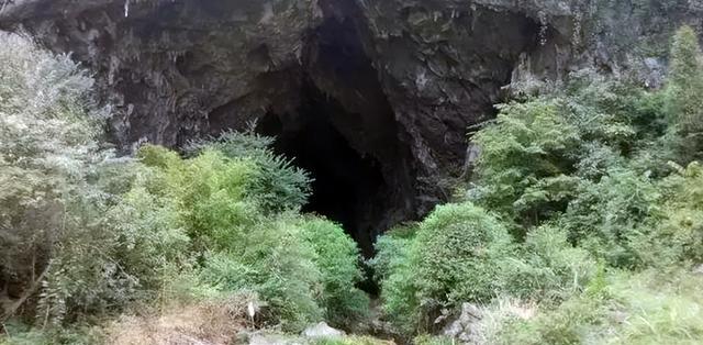 贵州|地下数百米垂钓啥感觉？贵州钓鱼控玩出了新花样，一路坎坷而刺激