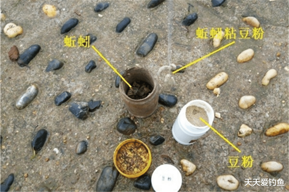 |冬季野钓鲫鱼，学会这个招数，窝中鱼越钓越多，连竿不间断