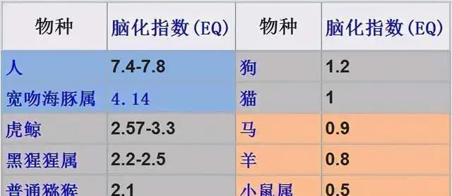 相比较其他动物,人类最具优势的器官可不仅仅有大脑