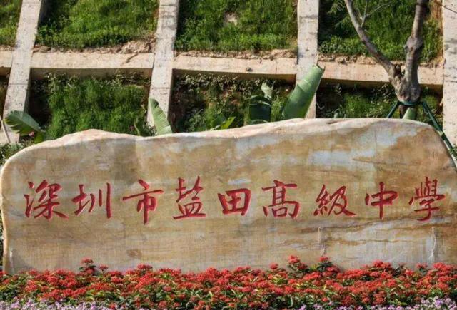 熊芳芳|当年因辞职引起热议的熊芳芳，31年跳槽6次，如今转向线上教育