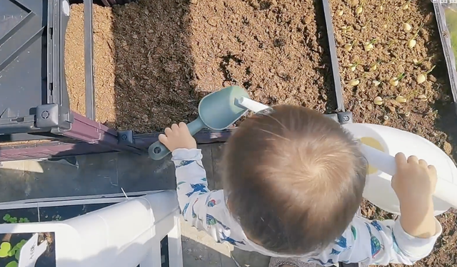 郑恺|郑恺老婆晒隔离日常：豪宅内搭帐篷看夜景很惬意，1岁女儿罕露面