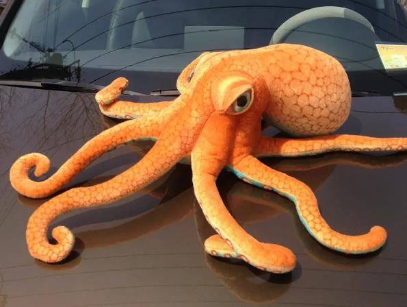 章鱼智商到底有多高，为何有人认为它不是地球生物？