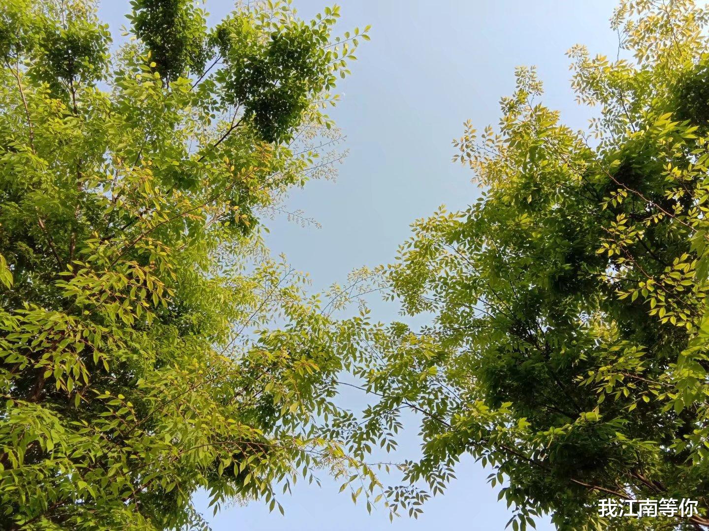 妹妹被拐卖到山村,哥哥带人闯进山村救妹妹,阻止者遭暴打