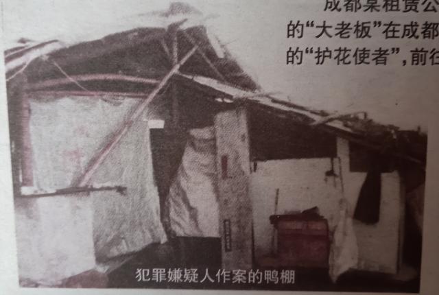 2008年，女高管与网友出轨后，让丈夫暗中保护去见网友并提车