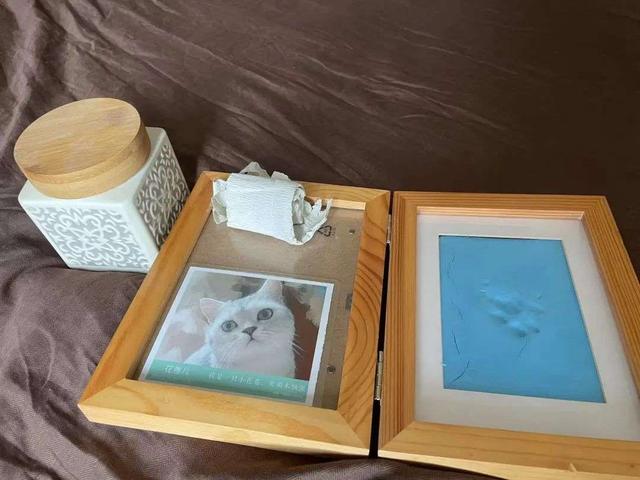 3年「没上班」,我靠养蛇月入十万