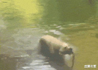 南瓜|“女朋友在公司睡太多,回家都不睡觉了...干中介的心酸泪”