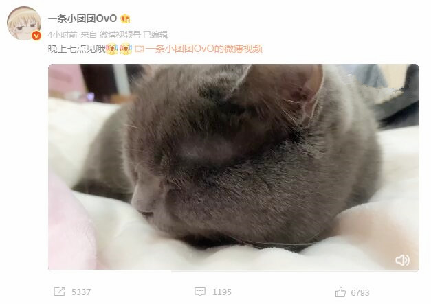 一条小团团|停播两个月后，小团团正式宣布复播，全网第一女幻神归位！