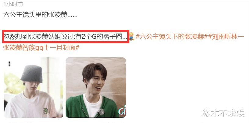 张凌赫|央视高清镜头堪比照妖镜:张凌赫脸上褶子、王鹤棣朱一龙让人意外