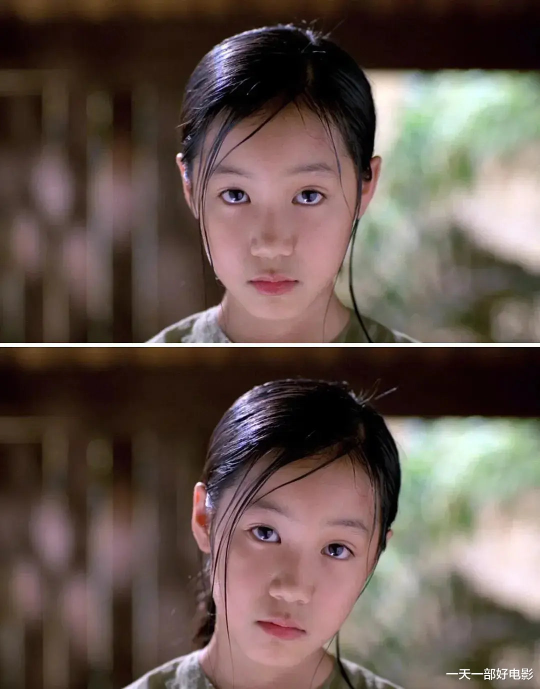 青木瓜之味|撩人的越南电影,每一帧都美如画《青木瓜之味》