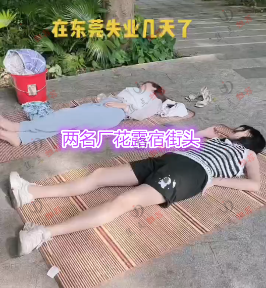 东莞2名女子不工作露宿街头,要求月薪1万包吃住,网友:眼高手低