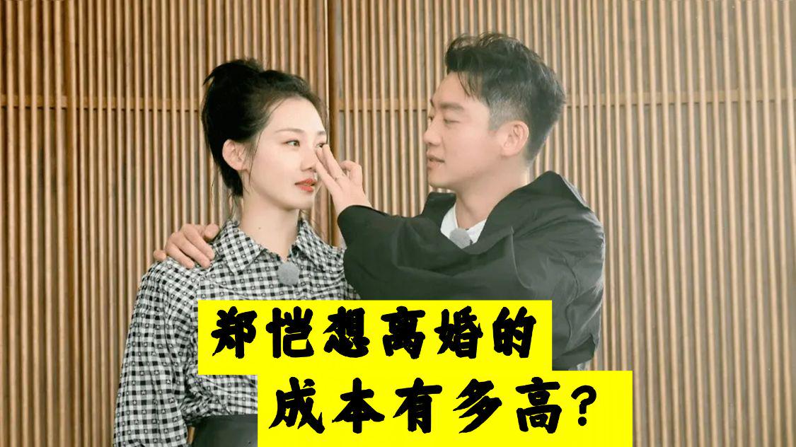 郑恺|郑恺想离婚的成本有多高?光两个孩子的抚养费就够他喝一壶了