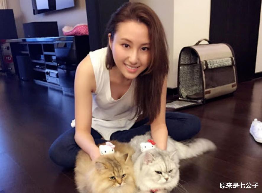 何超云|赌王最美千金闪嫁消防员,窦骁居然被他抢先一步?