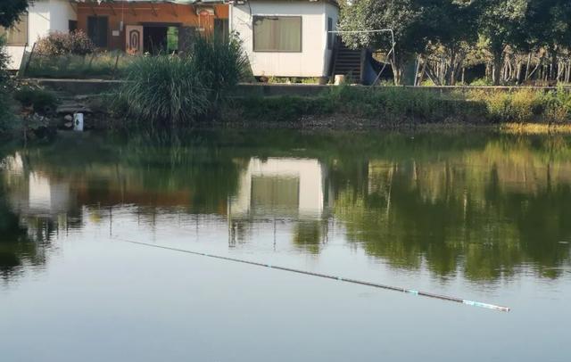 |一不小心鱼竿被拖走，咋办？千万别下水捞，想要命就别要竿！