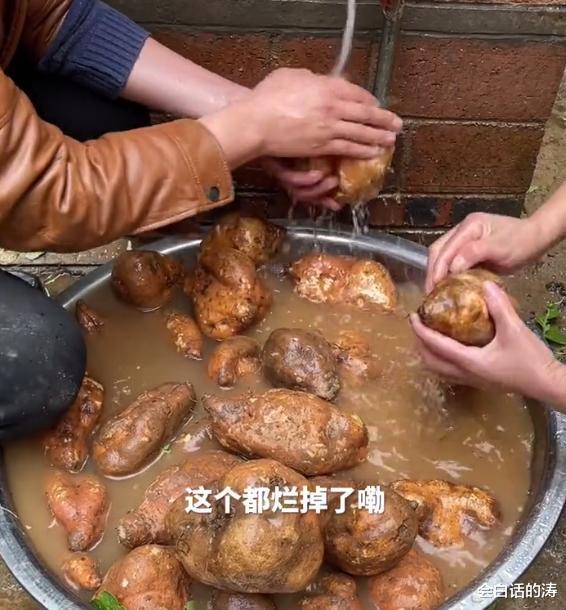 谭松韵|牛爱芳挑萝卜玩“假摔”，气得拿老演员撒气，网友：影帝名不虚传