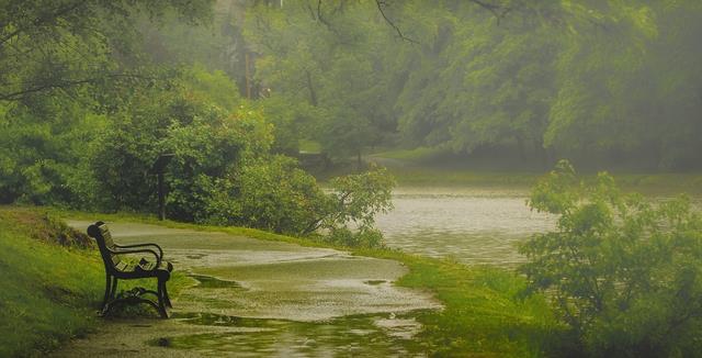 雨后那美妙气味是什么?每一口“大地的吐息”里都是链霉菌的孢子