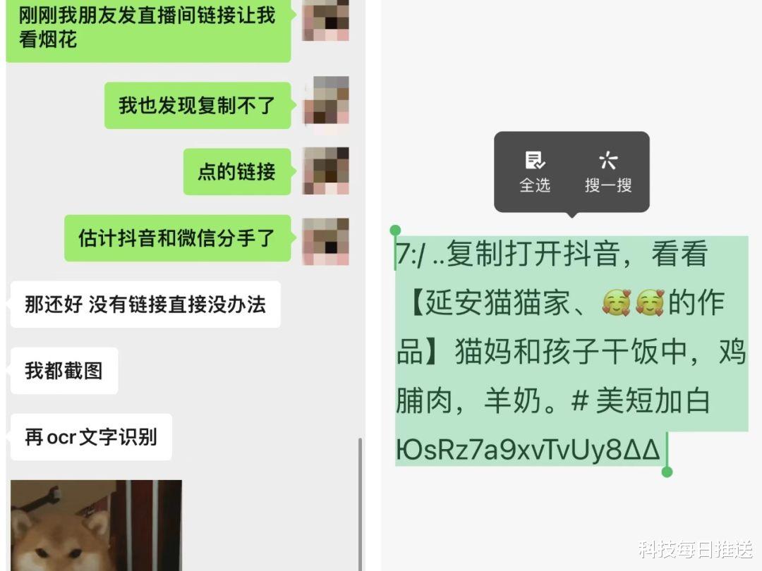 微信|“停战”一年后,微信又把抖音链接屏蔽了