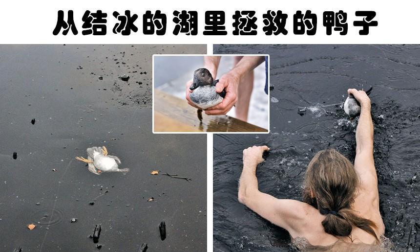 冰层里真的发现了外星人吗?盘点人们在冰里的7个奇怪发现