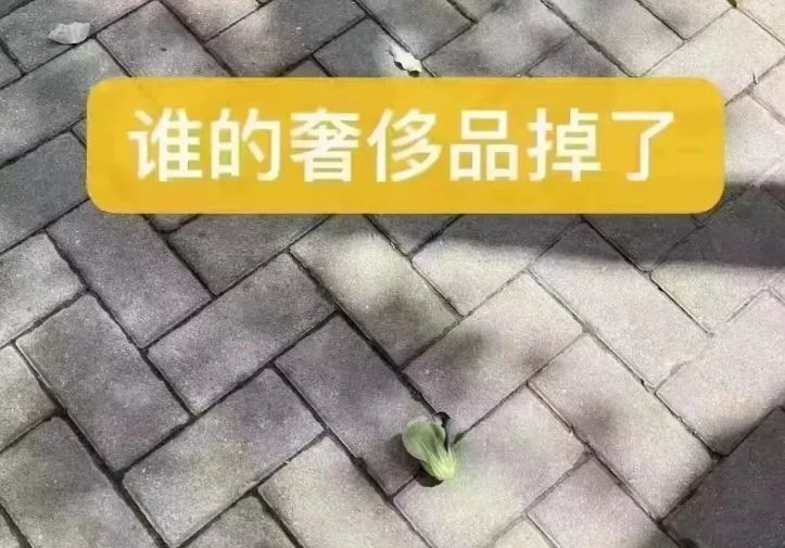 |买菜,从一个段子成为一个行业
