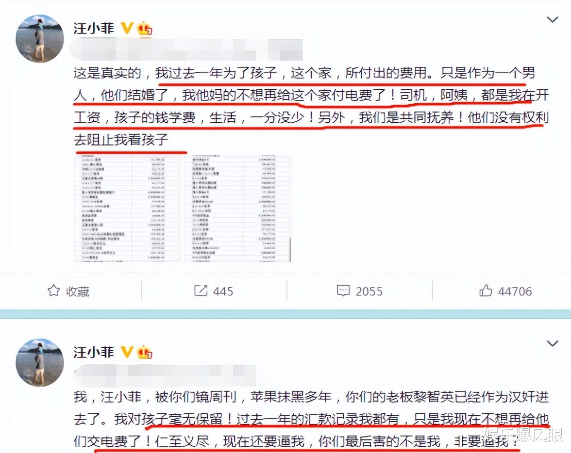 汪小菲|冤种？汪小菲称不想给大S交电费，喊话具：窝囊废换个床垫行吗？