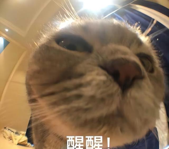 hr|90后打工人面试,想找个双休的工作,HR:“看来你还是不差钱啊”