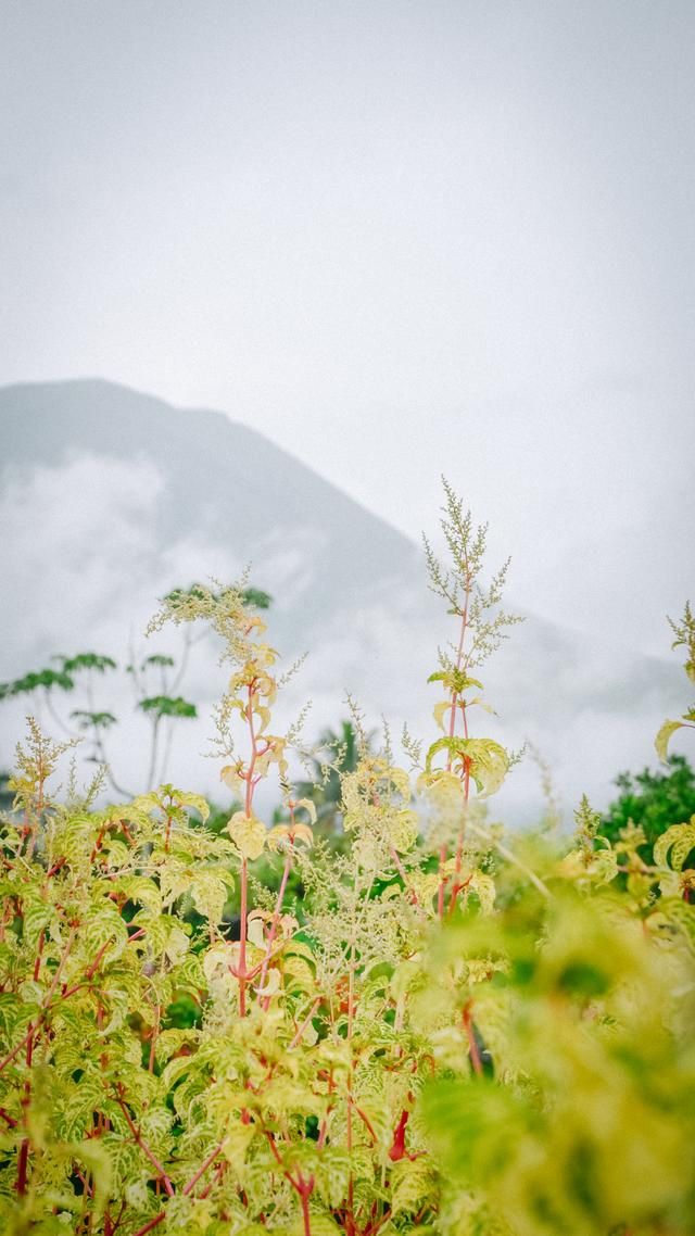 火山|印尼旅游不可错过的一站：火山下的梦幻仙境，随手一拍就是大片