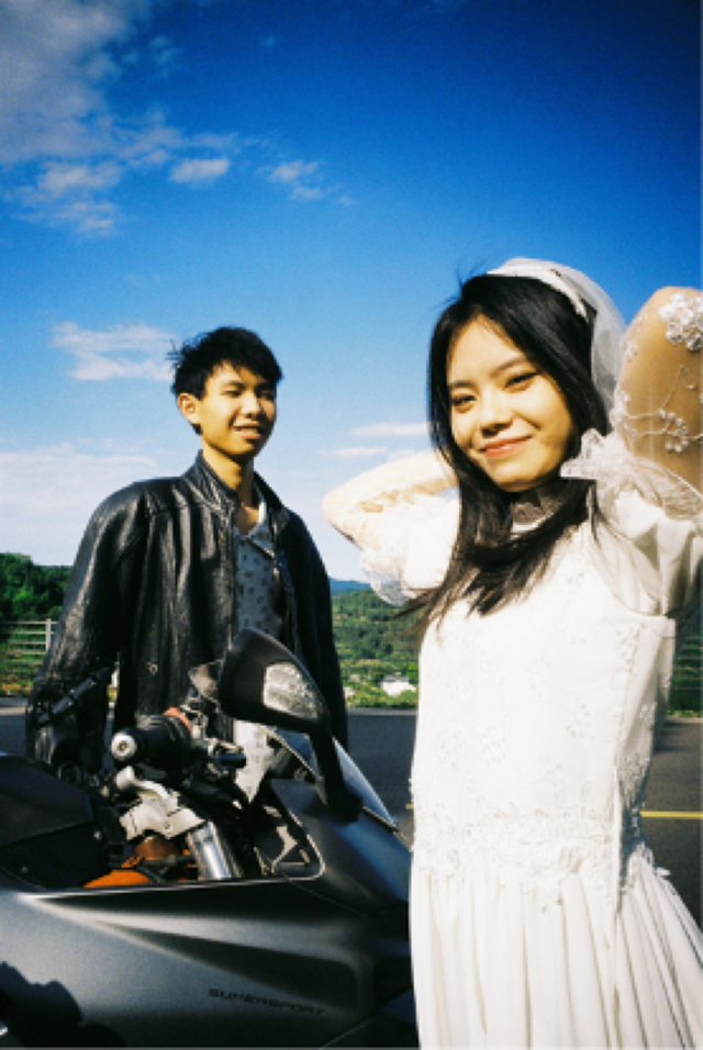 草原|海拔3000米的高原草甸上，藏着宫崎骏的夏天