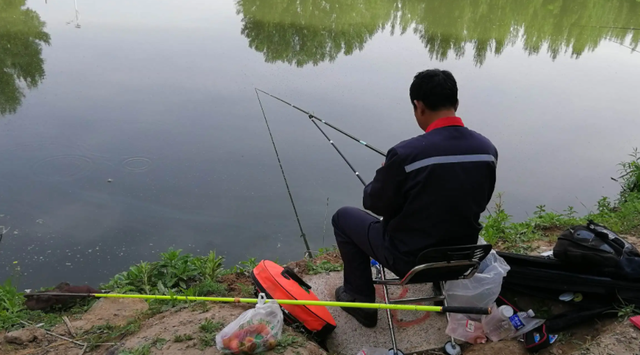 |补窝之后为什么没鱼了？补窝也要讲究方法