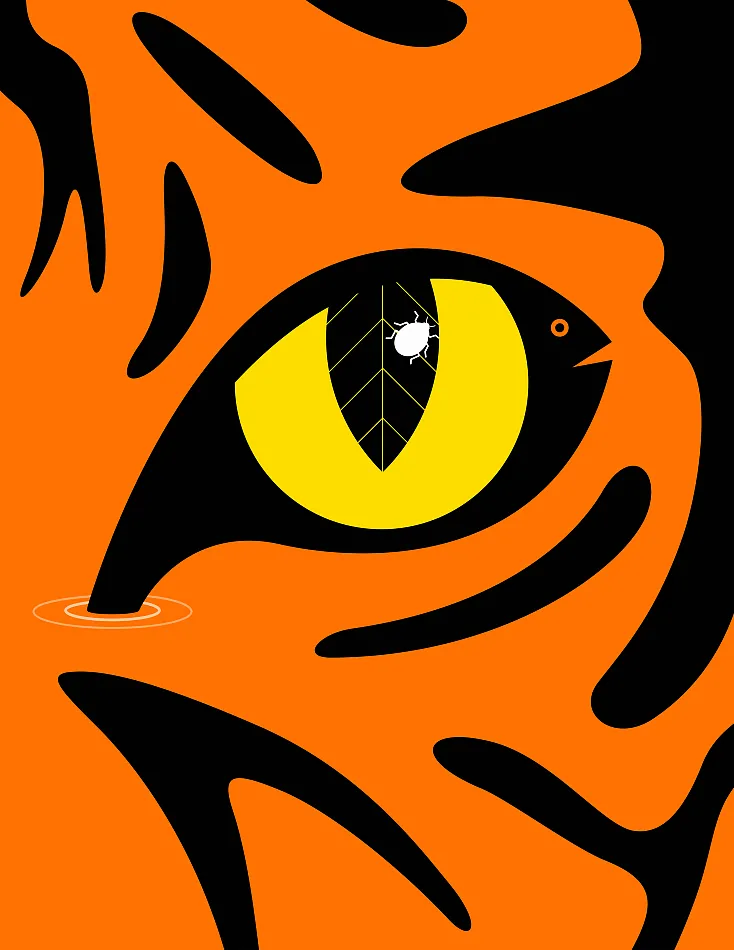 @所有人，虎年微信红包封面来啦