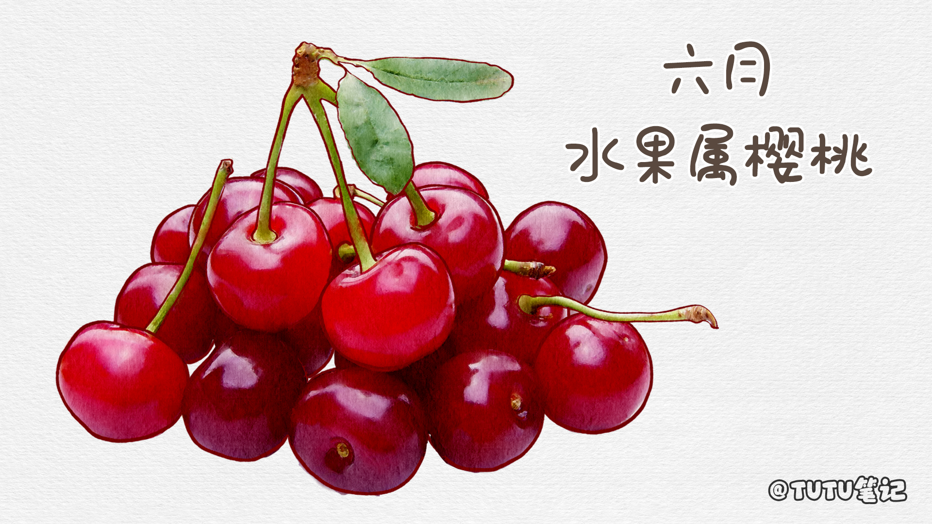 水果|全年最佳的应季水果有哪些?各种水果的应季食用时间你知道么?全年不同月份最适合食用的水果有哪些?