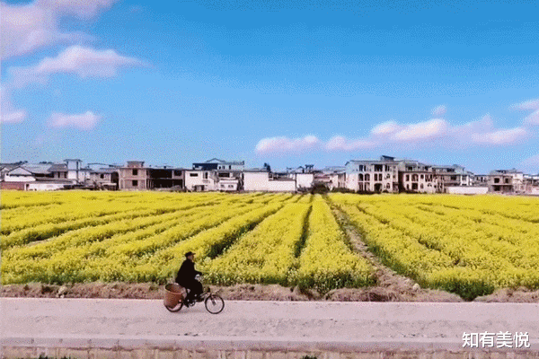 腾冲|盘点中国14个小县城，美得让人惊艳，看一眼就心动！你想去哪个？