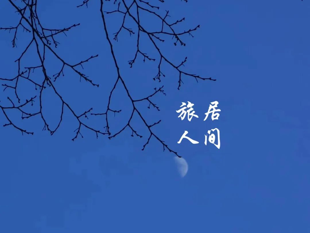 |远离职场风雨，旅居人间山水