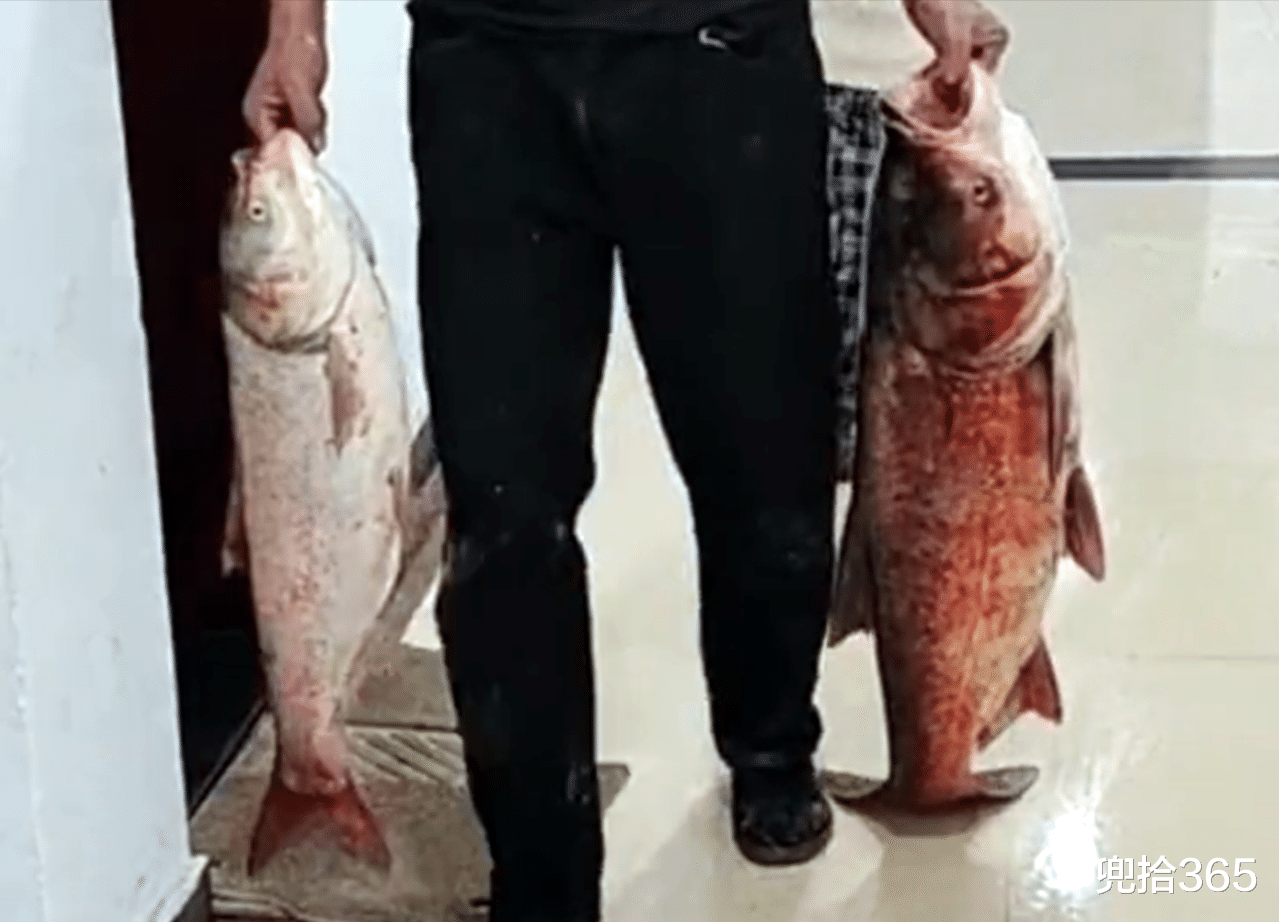 河南|河南一男子带着俩孩子去钓鱼，妻子直接要求离婚，到底怎么回事？