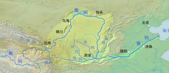 黄河每天冲鱼入海,大部分淡水鱼在海中无法生存,它们都去哪里了