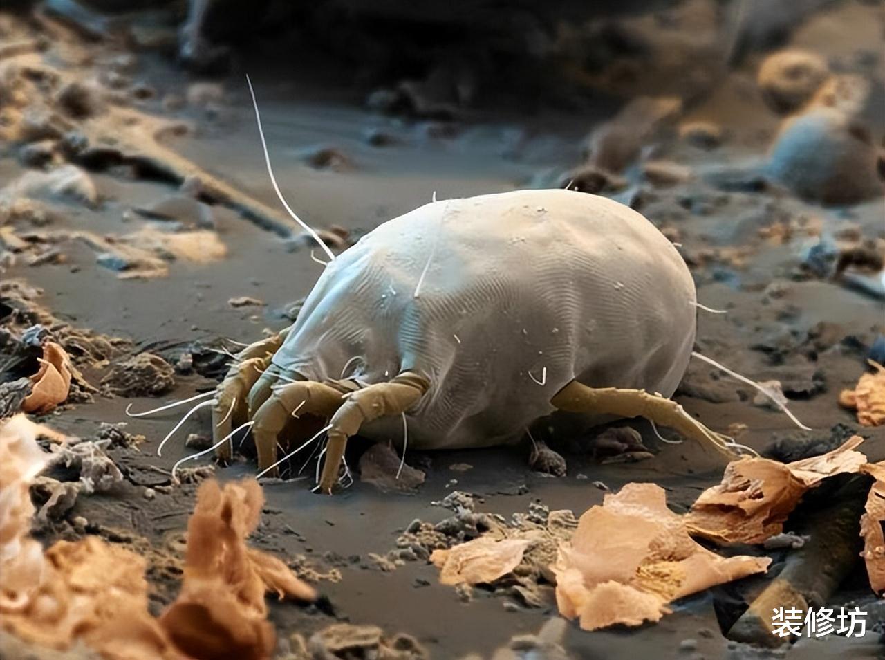 太原|建议大家:这4类“网红”用品已被淘汰,能扔就扔,千万别心疼