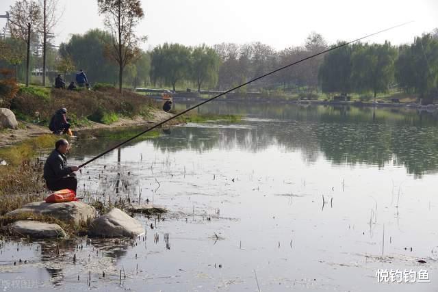 |钓鱼的快乐，可能只有坐在水边的那一刻才能感受到……