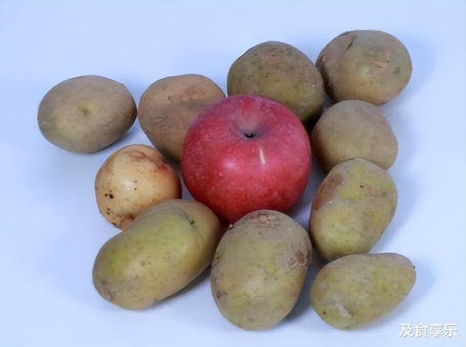 特殊时期囤蔬菜,这5种保存方法要牢记,放半个月都新鲜,不浪费